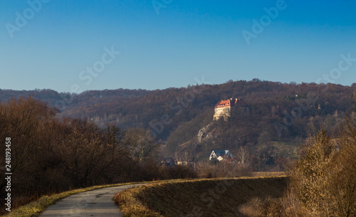 Wallpaper Mural Przegorzaly Castle near Krakow, Poland Torontodigital.ca