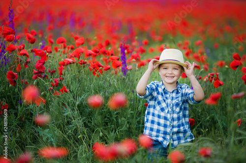 Little cute boy in field with red poppies and blue sky photo