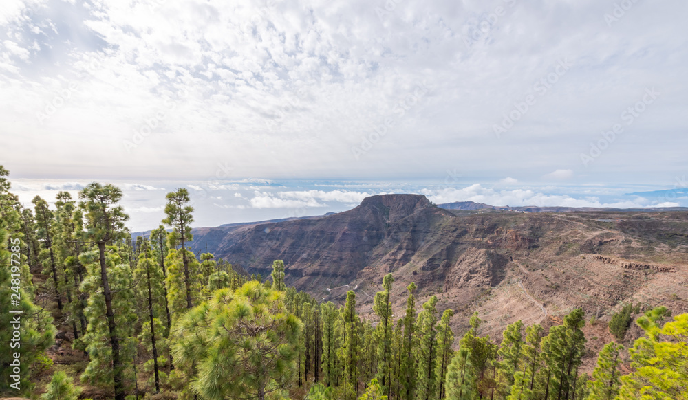 Fototapeta premium la gomera canarias mountain view