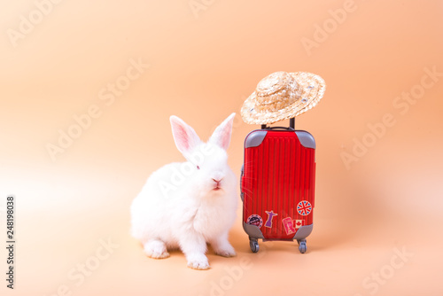 Canvas Print Cute rabbit wearing a hat, standing beside a suitcase, umbrella To travel on holiday