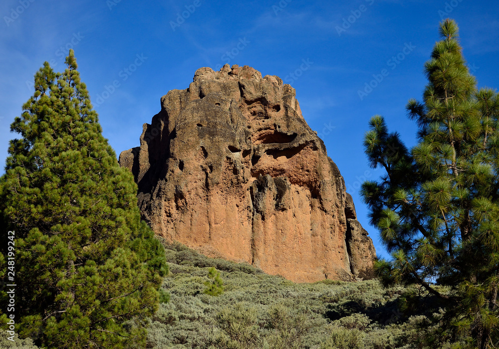 Roque Saucillo, among pines and blue sky, Valsequillo, Gran Canaria