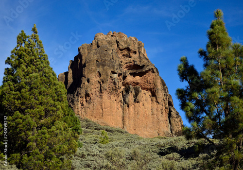 Roque Saucillo, among pines and blue sky, Valsequillo, Gran Canaria photo