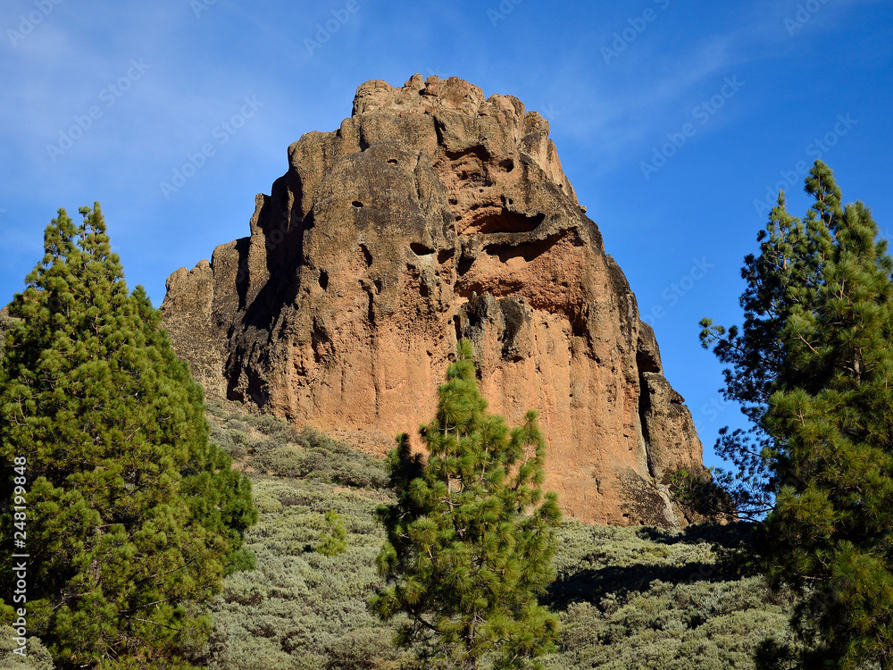 Fototapeta premium Roque Saucillo, blue sky and pine trees, Canary Islands, Spain