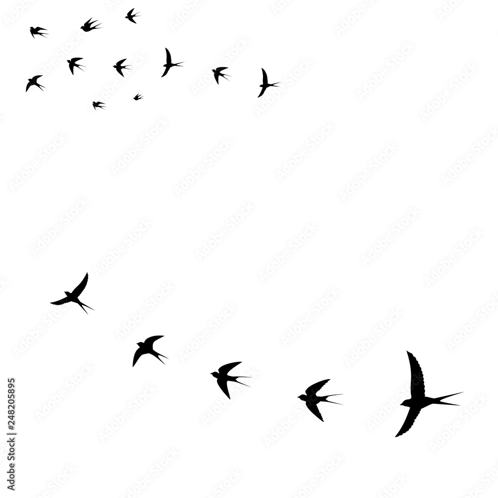 Naklejka seagulls bird icons