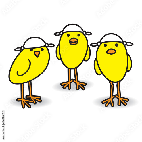 Three Yellow Chicks wearing Handkerchiefs on Heads