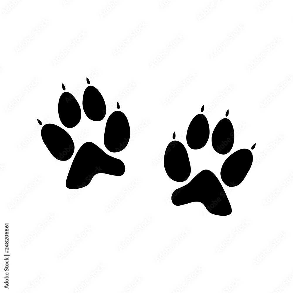 Print dog paw Print dog paw
