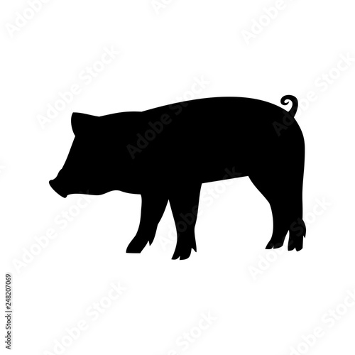 pig icon