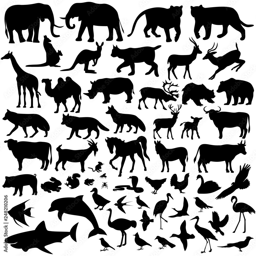 mammals