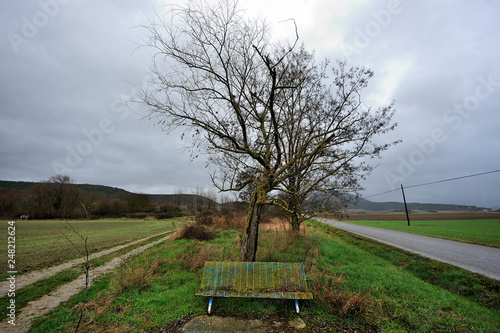 winter landscape in the vicinity of the town of Zambrana, Alava (Basque Country) photo