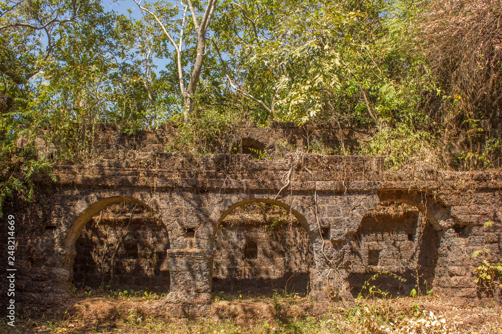 arches of ancient stone castle ruins in jungle overgrown with vegetation