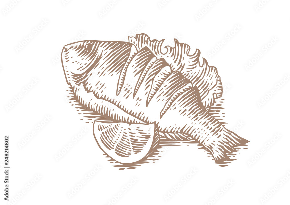 Fotografie Drawing of fried Fish