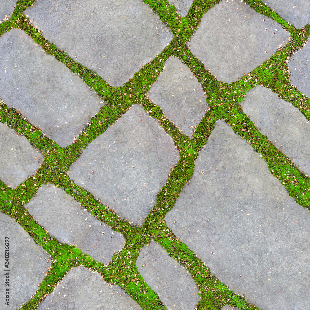 Seamless texture of green grass between the road tiles. Green grass