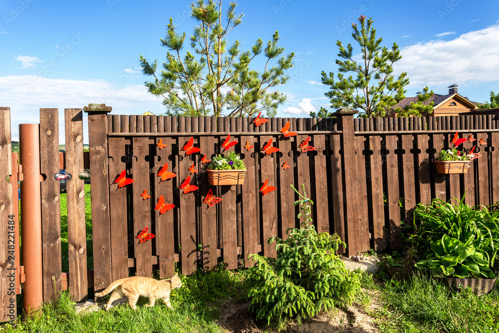 Ginger cat sneaks along a wooden fence Ginger cat sneaks along a wooden fence