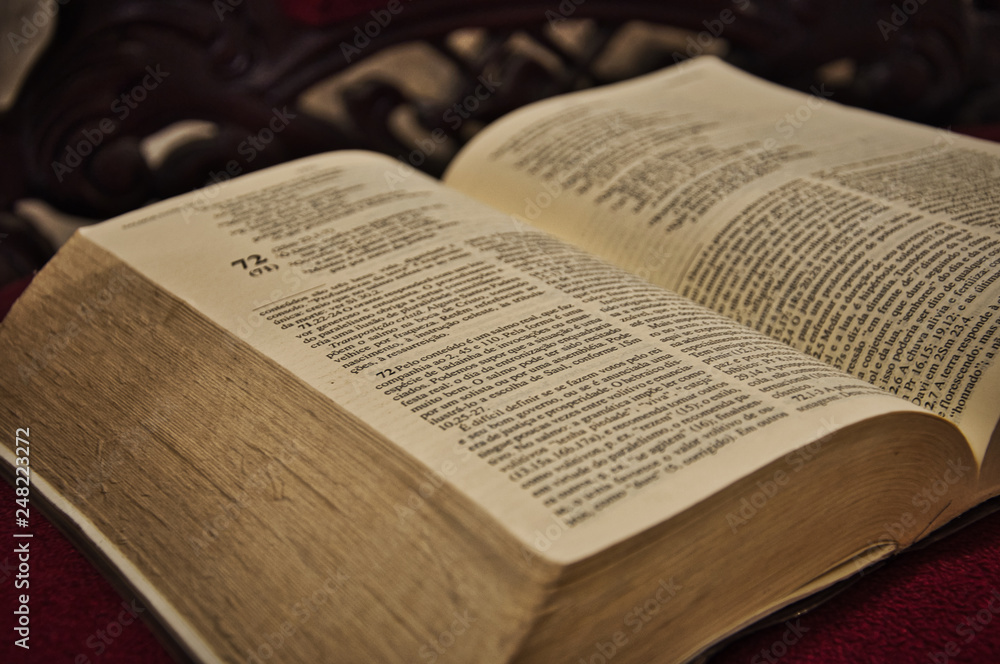 Obraz premium Altes Buch