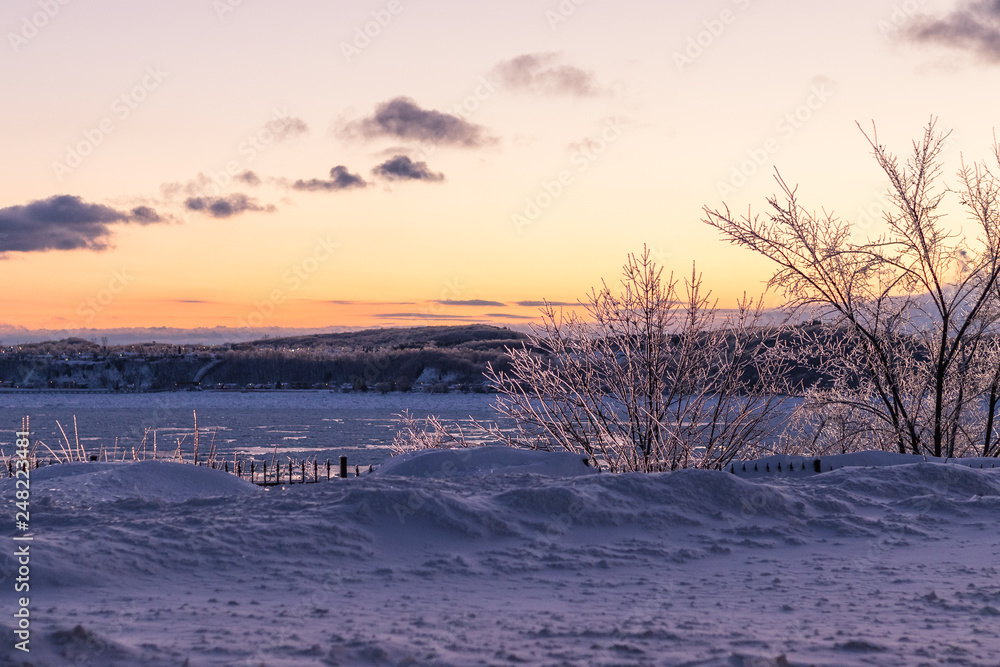 frozen morning