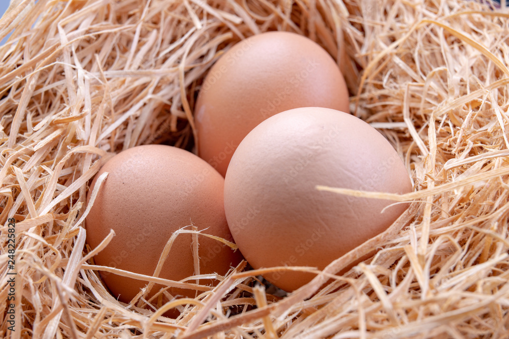 Tasty eggs in a straw bedding. Fresh ingredients for homemade pastries. Tasty eggs in a straw bedding. Fresh ingredients for homemade pastries.
