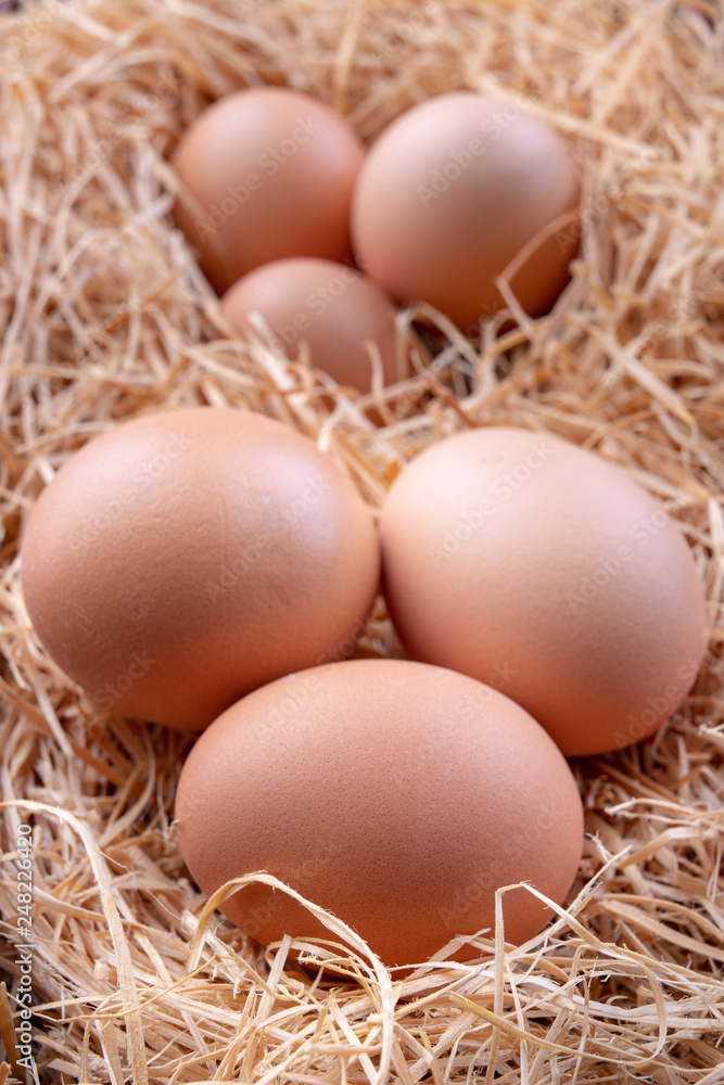 Tasty eggs in a straw bedding. Fresh ingredients for homemade pastries. Tasty eggs in a straw bedding. Fresh ingredients for homemade pastries.