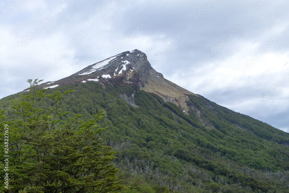 Guanaco mount view, Tierra Del Fuego National Park, Argentina