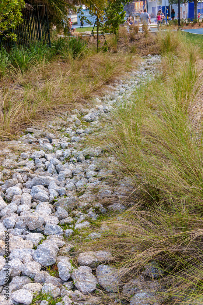 Tide pools with native plantings. These also serve as rain gardens for runoff Tide pools with native plantings. These also serve as rain gardens for runoff