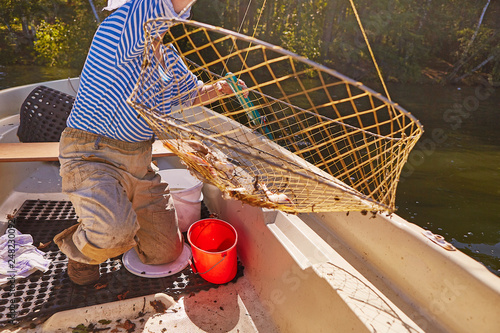 Wallpaper Mural Process of cacthing  crawfish  and tackle in sweet water mountain lake Torontodigital.ca