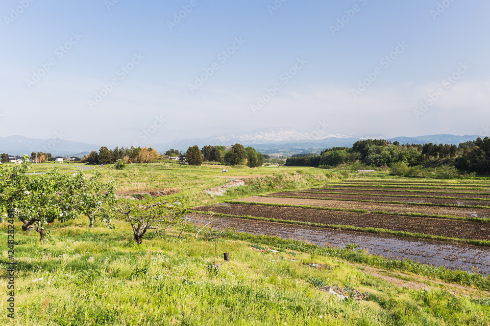 Rural farm lands in Tsuruoka Japan Rural farm lands in Tsuruoka Japan