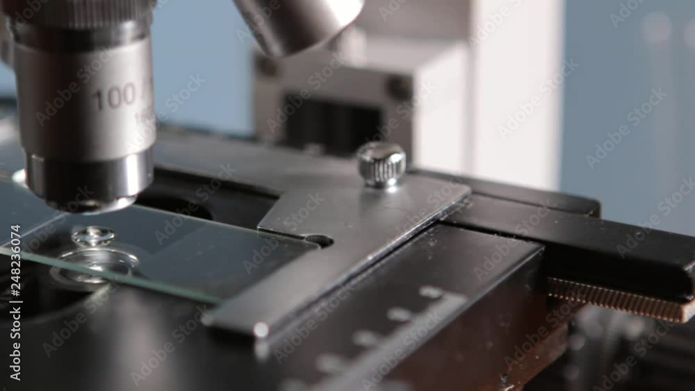 Scientist Studying Specimen With Microscope Scientist Studying Specimen With Microscope