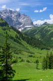 Vertical shot of beautiful alpine landscape