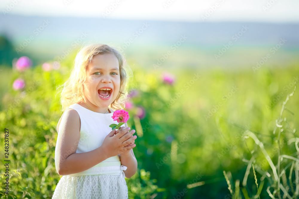 Little girl in a blooming field of color. Girl with curly Golden hair Little girl in a blooming field of color. Girl with curly Golden hair