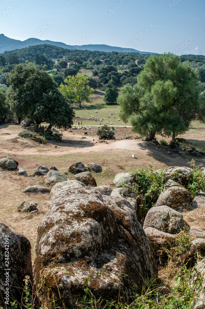 Stones and meadow in the interior of the island of Corsica, Filitos area
