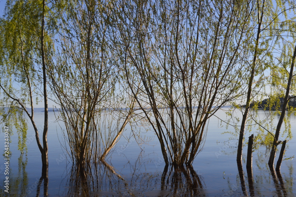 Obraz premium Reflejo en el lago ranco
