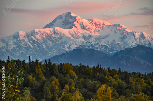 Mt. Denali