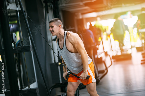 Handsome bodybuilder works out