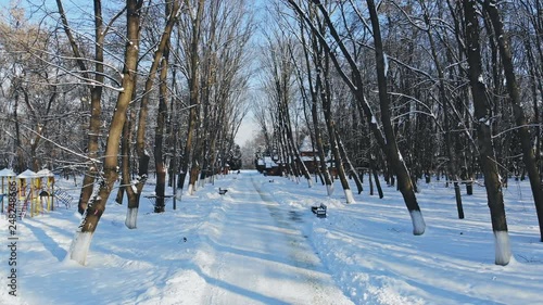 Wallpaper Mural Winter season snowy road in forest nature landscape at cold day in winter forest. Torontodigital.ca
