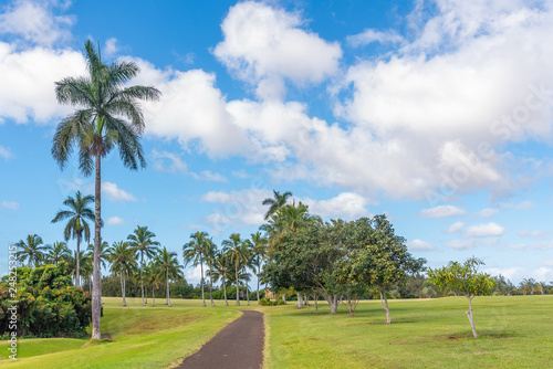 Cart path through tropical golf course with palm trees