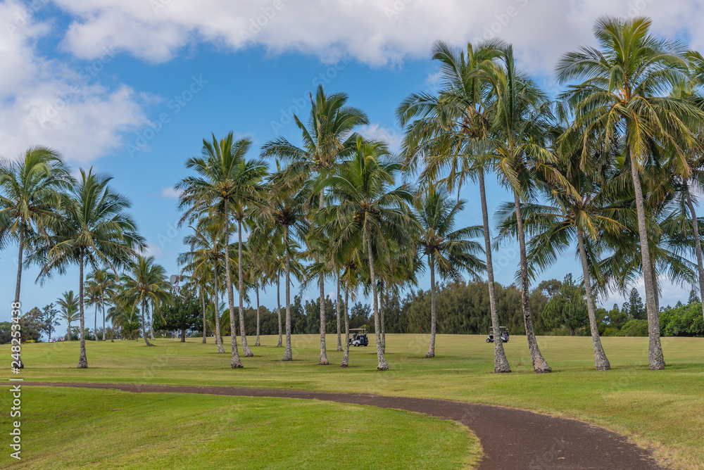 Tropical golf course with palm trees