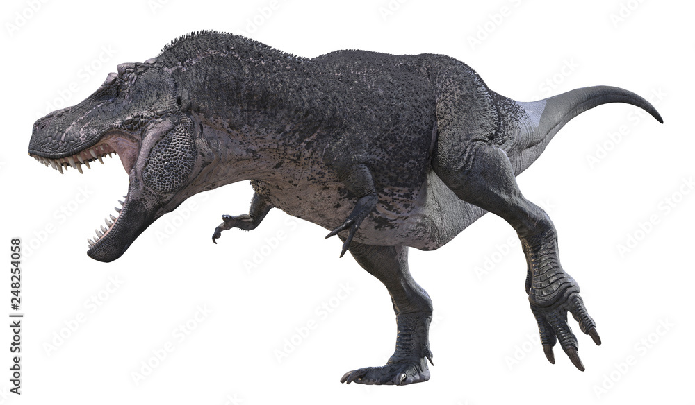 3D render of Tyrannosaurus Rex. 3D render of Tyrannosaurus Rex.