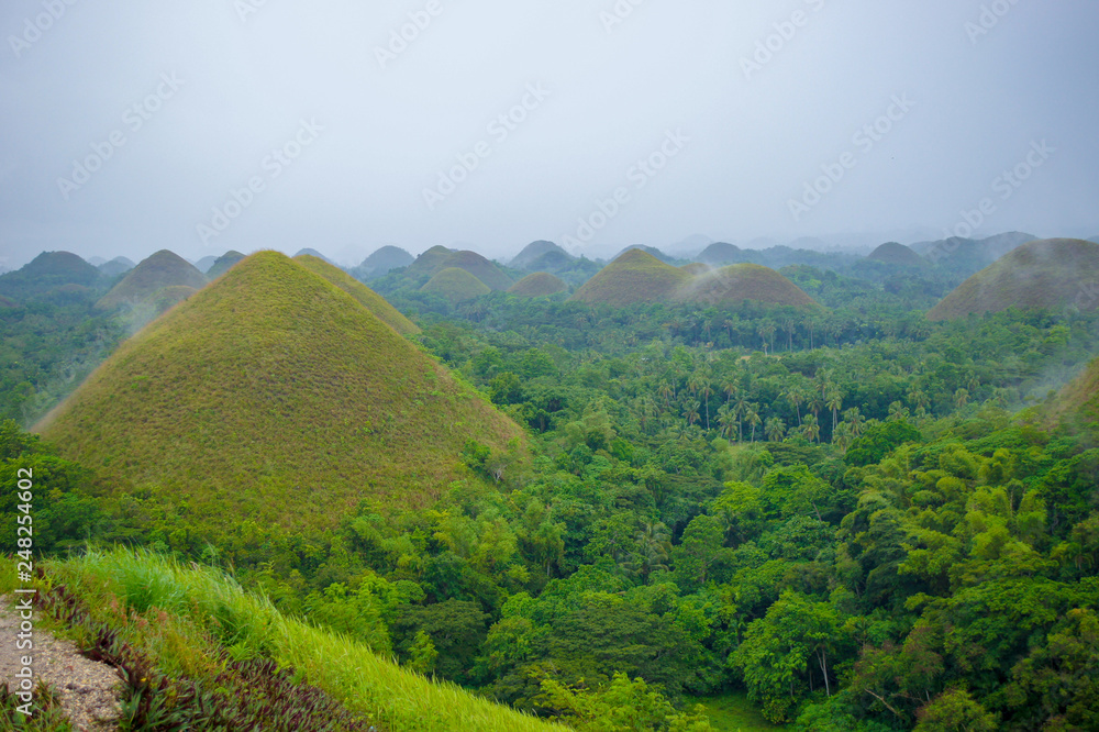 Obraz premium チョコレートヒルズ