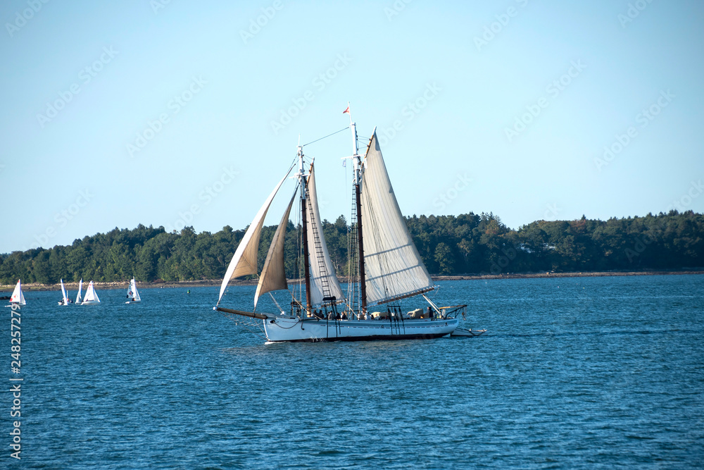 Obraz premium Maine Fishing Schooner