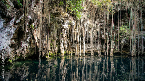  cenotes in the jungle of mexico