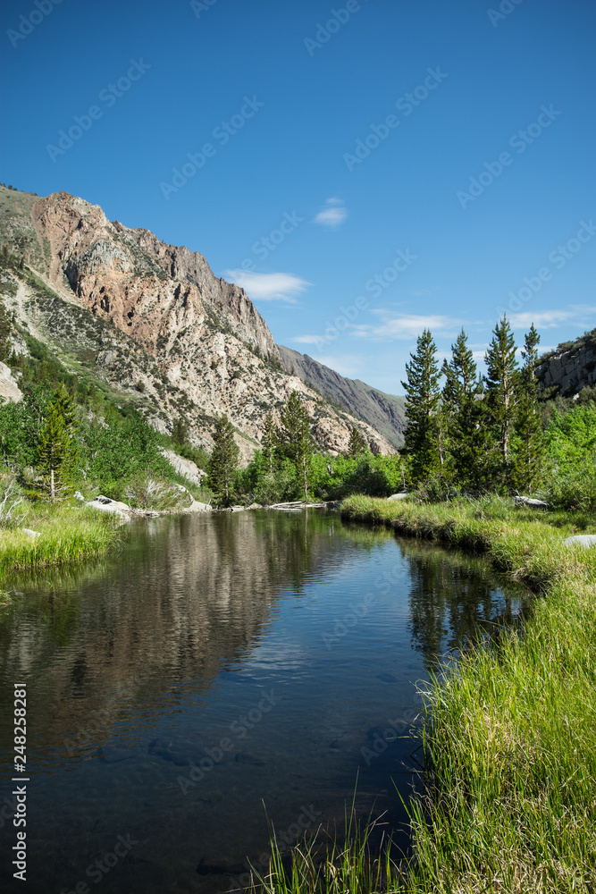 McGee Creek Canyon in the summertime, near Mammoth Lakes, California in the Eastern Sierra