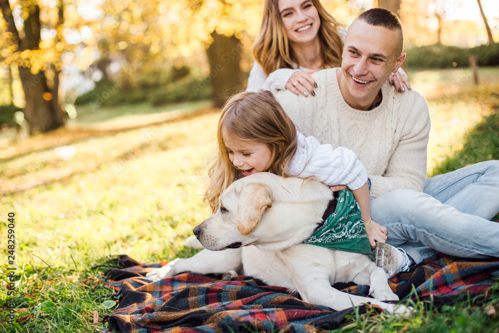 Fototapeta premium Happy beautiful family with dog labrador is having fun are sitting on green grass in park.