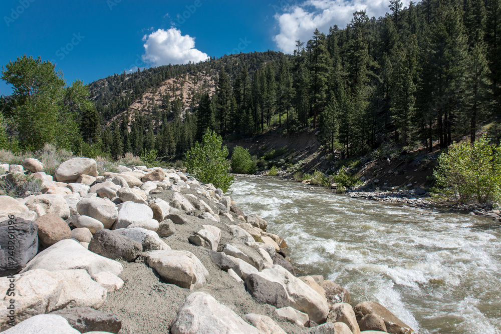 The Walker River, in Alpine County, California, near Walker / Coleville California, on US 395 highway The Walker River, in Alpine County, California, near Walker / Coleville California, on US 395 highway