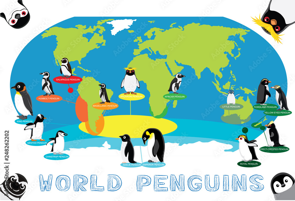 Penguin Distribution World Map Cartoon Vector