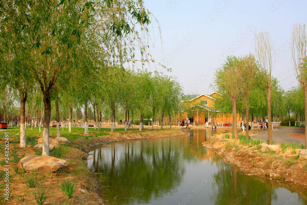 Fototapeta premium Wooden pool and trees in the park