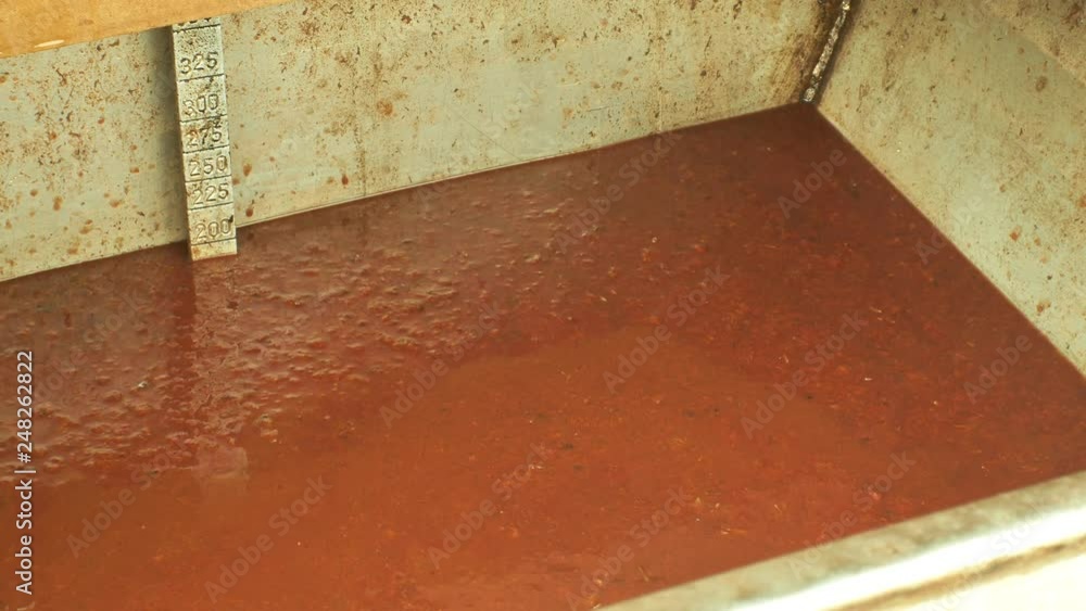 Barrel plum ferment and fermentation yeast into the tub leading to the ...