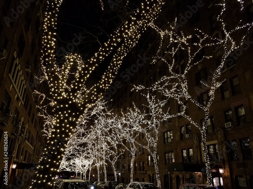 christmas lights on outdoor trees