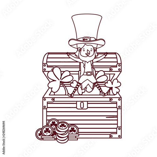 leprechaun with chest and coins character