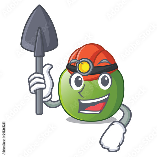 Miner green tomato obove the character table