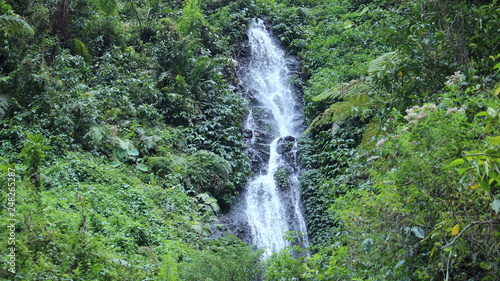 Madakaripura Waterfall in Bromo Tengger Semeru National Park © Sulistianto