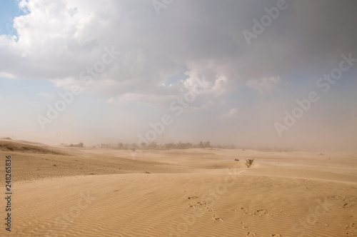 Dust storm in the Thar desert 